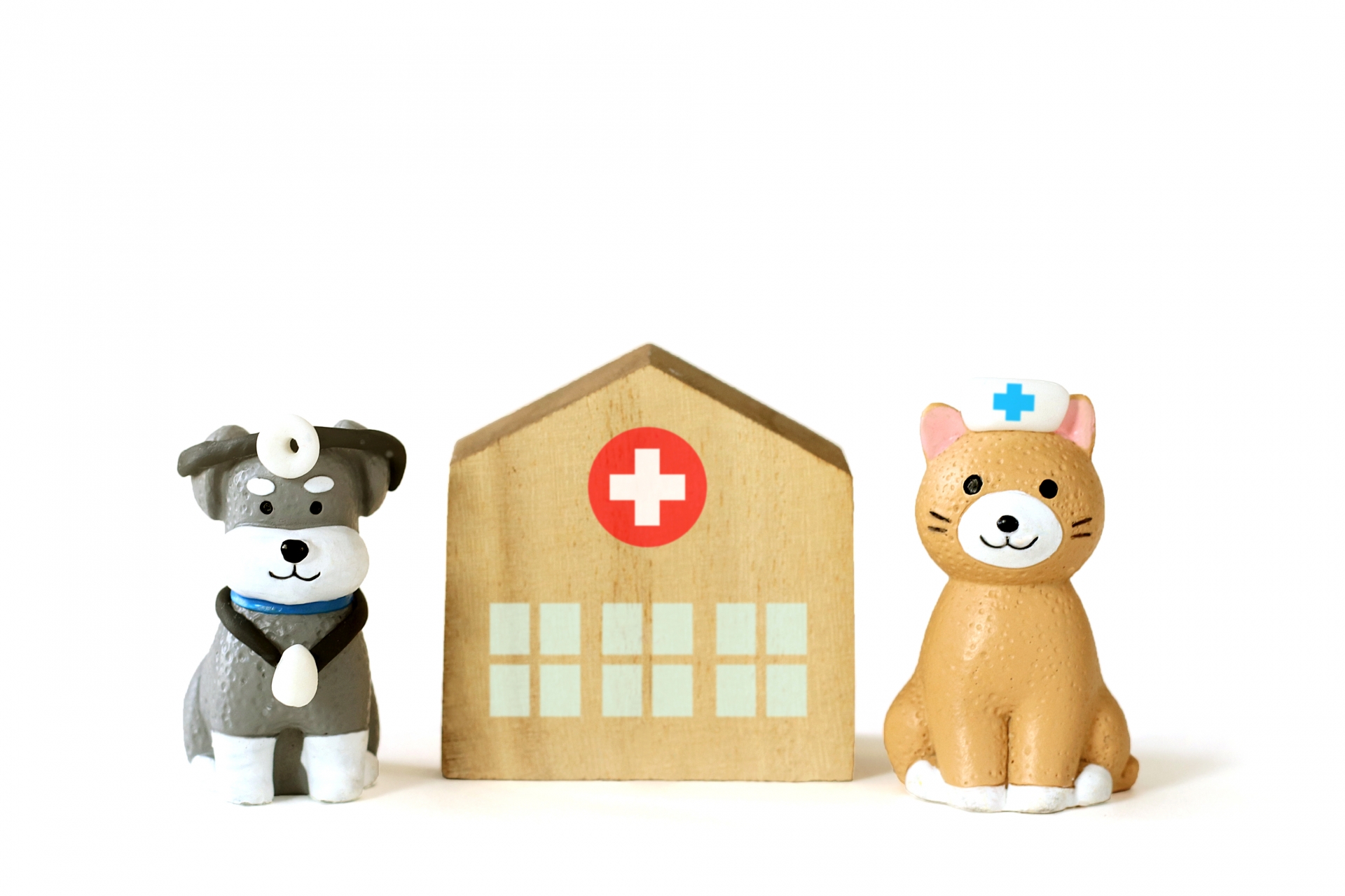 犬と猫と病院
